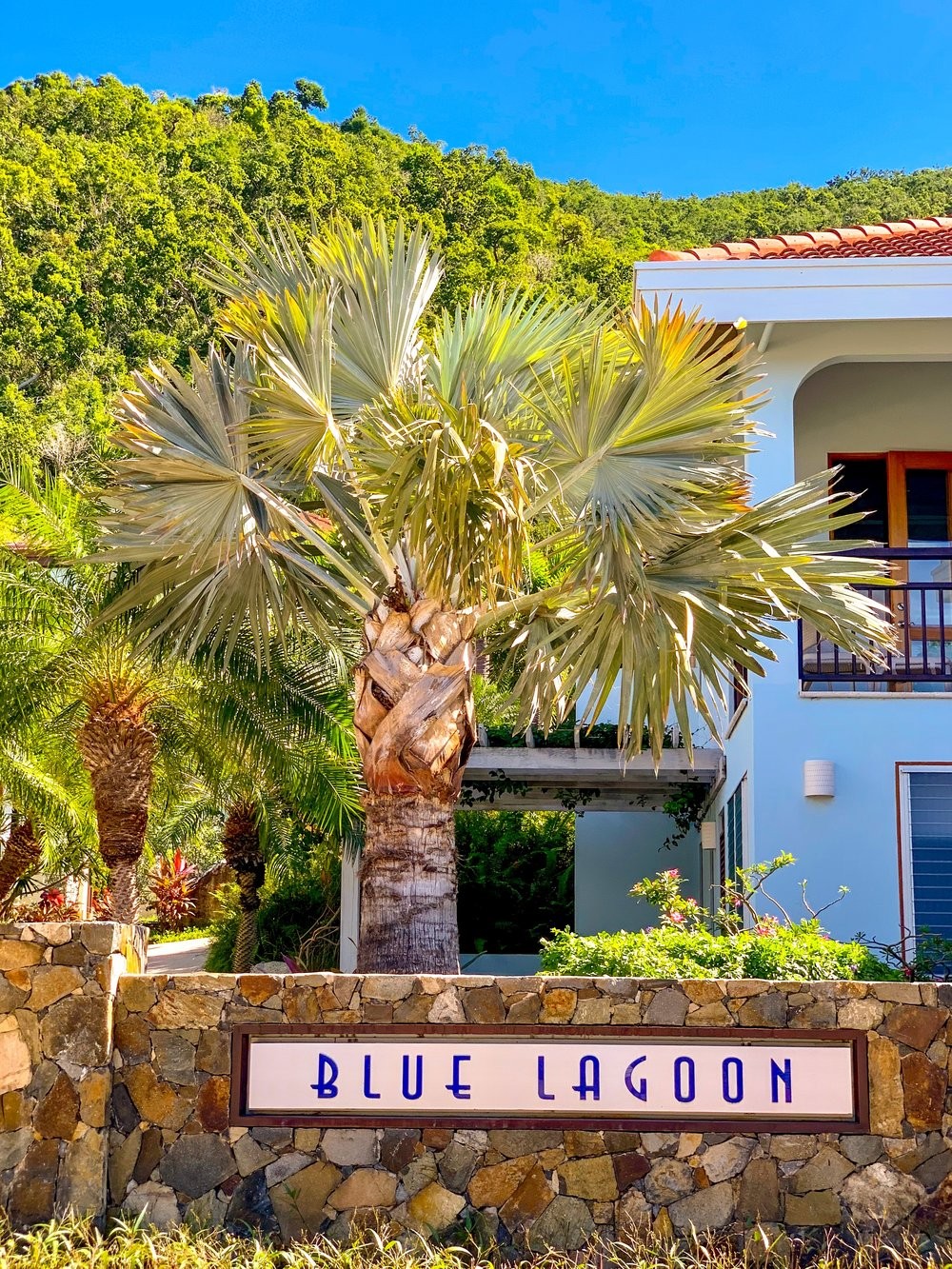 Blue Lagoon Villa Rental | Villas of Distinction